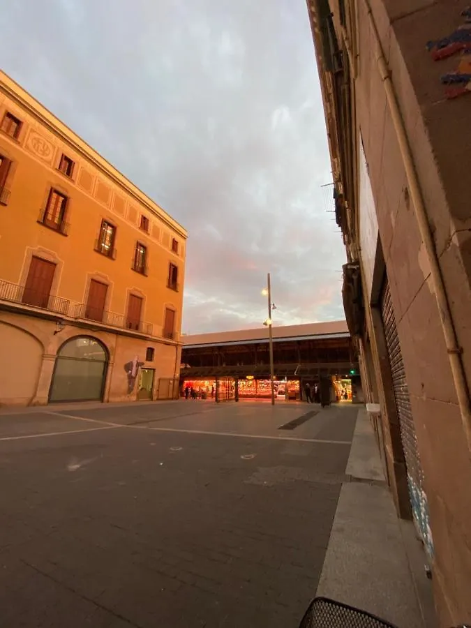 Bed & Breakfast Vegan En Acogedor Apartamento En El Centro De Barcelona Spain